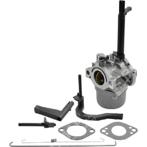 Carburateur à cuve pour moteurs BRIGGS & STRATTON 591378 - 050066