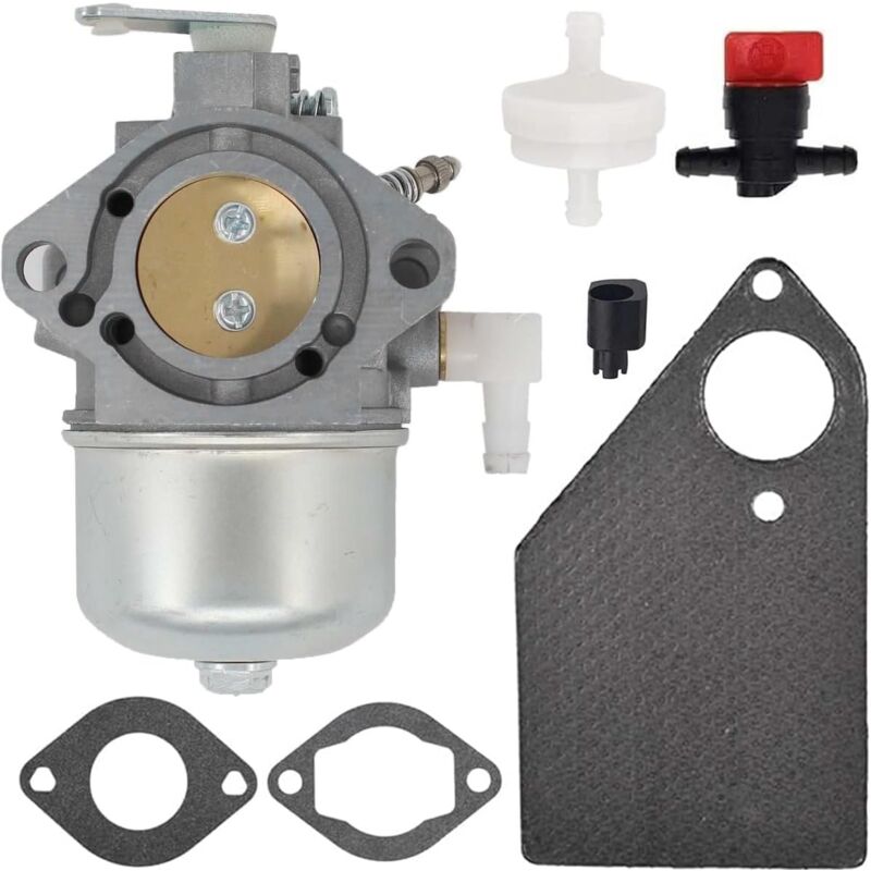 Paryou - 690119 694526 Carburateur pour Briggs & Stratton 690115 690111 19G412 19E412 192432 192402 192412 Moteurs avec Joints Vanne d'arrêt de