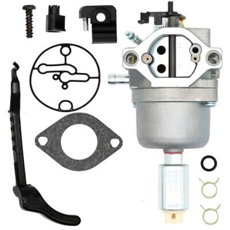 Carburateur Adaptable Briggs & Stratton Pour Modèles 28n707, 28p777. Remplace Origine: 690194, 799727.