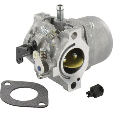 Carburateur adaptable pour moteurs Briggs & Stratton – Alimentation efficace – Remplace 799728, 498027, 495706 – 799728