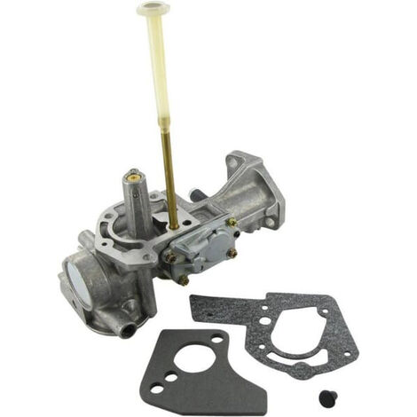 Carburateur adaptable pour moteurs Briggs & Stratton – Compatible séries 133000, 135000, 137000 – 498298
