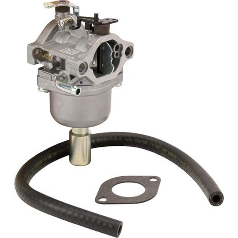 Carburateur adaptable pour moteurs Briggs & Stratton – Performance fiable – 0,46 kg – 593433