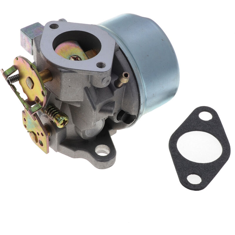 Jardiaffaires - Carburateur compatible avec Tecumseh HSSK50 et LH195SP pour fraise à neige