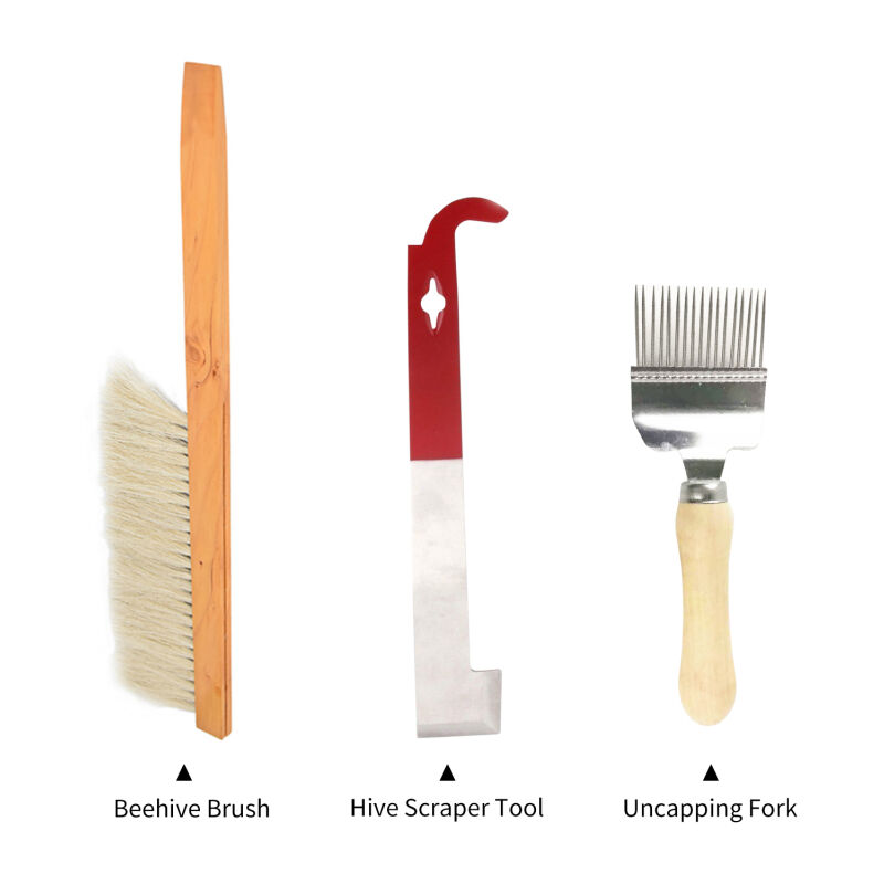 Outil de grattage de ruche, lève-cadre et grattoir, brosse de ruche, brosse d'apiculture, désoperculage pour fournitures d'apiculteur, ensemble