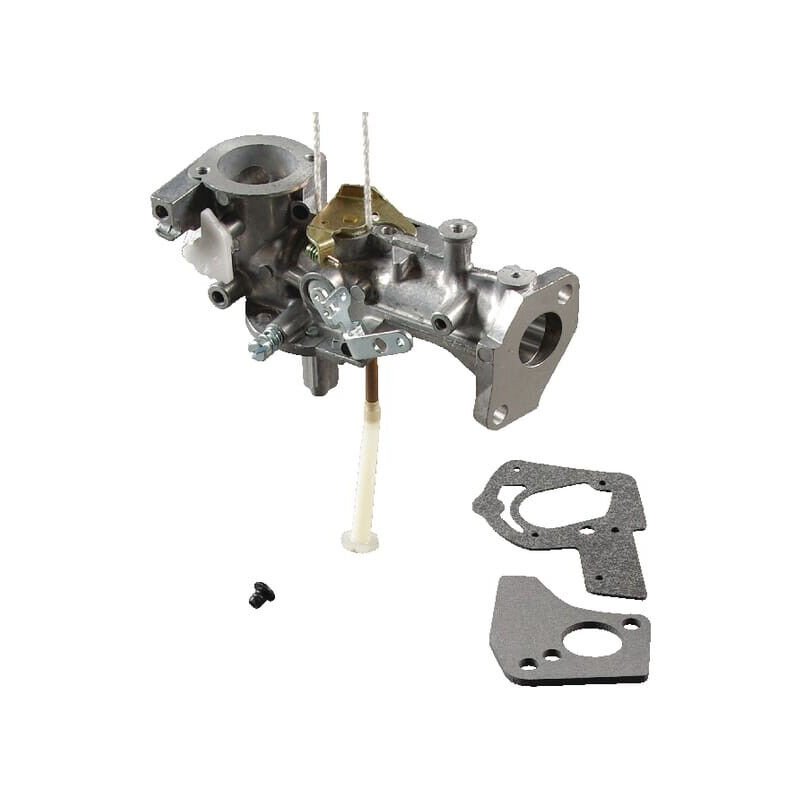 Carburateur briggs et stratton 495459