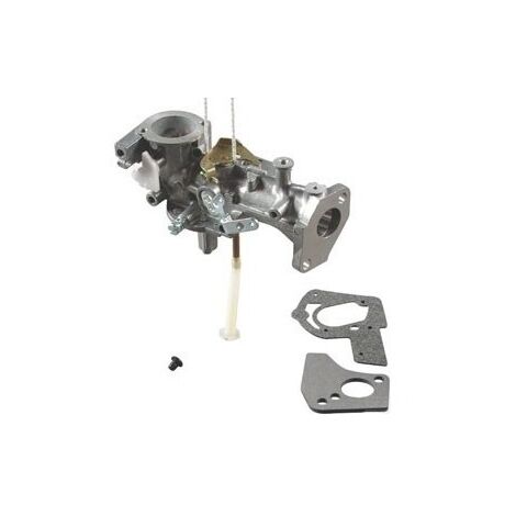 Carburateur BRIGGS ET STRATTON 495459