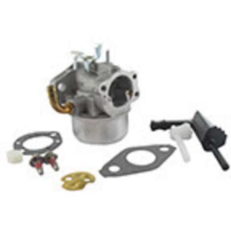 Carburateur BRIGGS ET STRATTON 591299