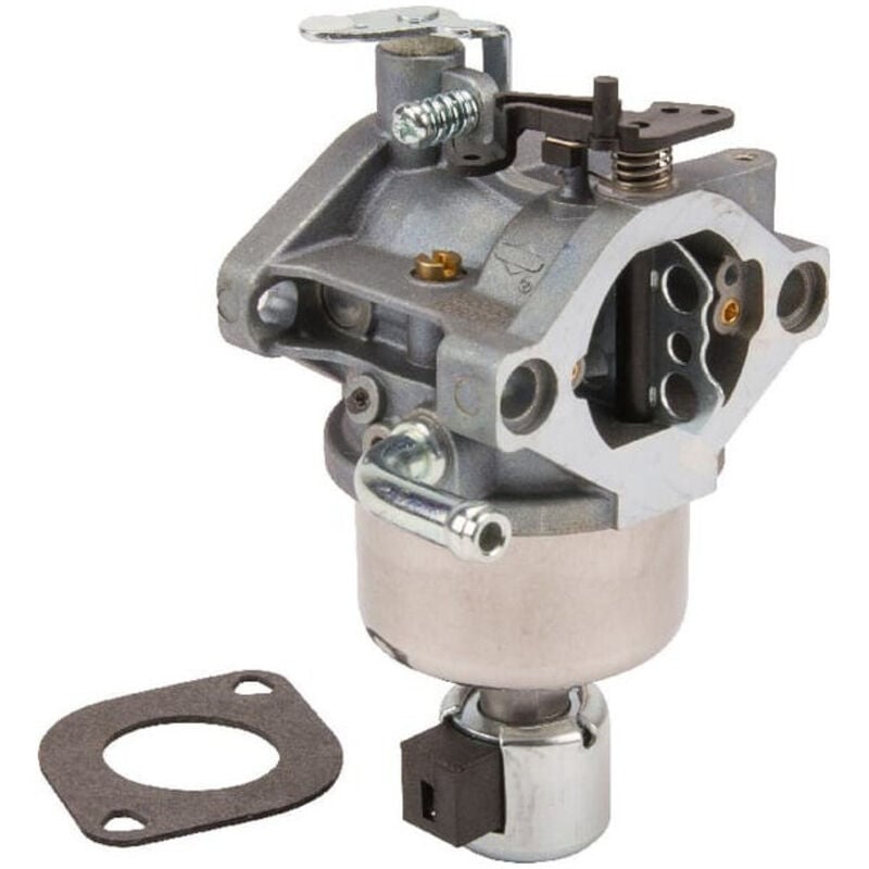 Briggs&stratton - Carburateur briggs et stratton 594605