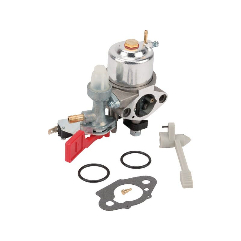 Briggs&stratton - Carburateur briggs et stratton 595318