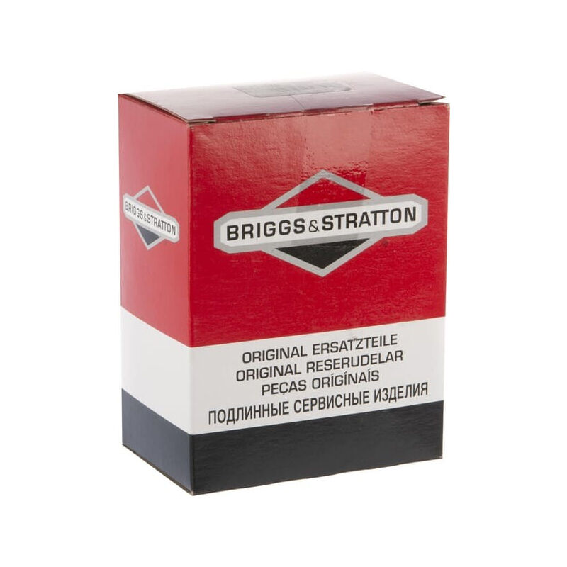 Carburateur BRIGGS ET STRATTON 595776