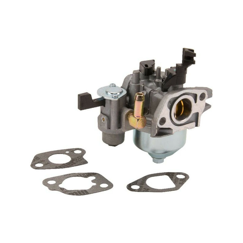 Briggs&stratton - Carburateur Briggs et Stratton - 596079