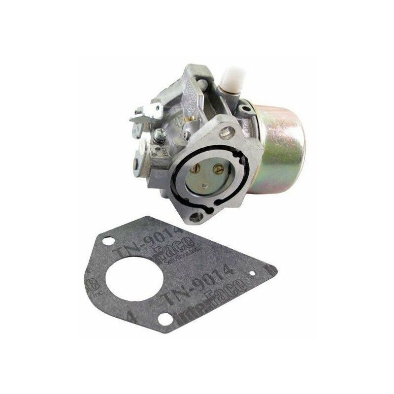 Carburateur BRIGGS ET STRATTON 692684 - 495780