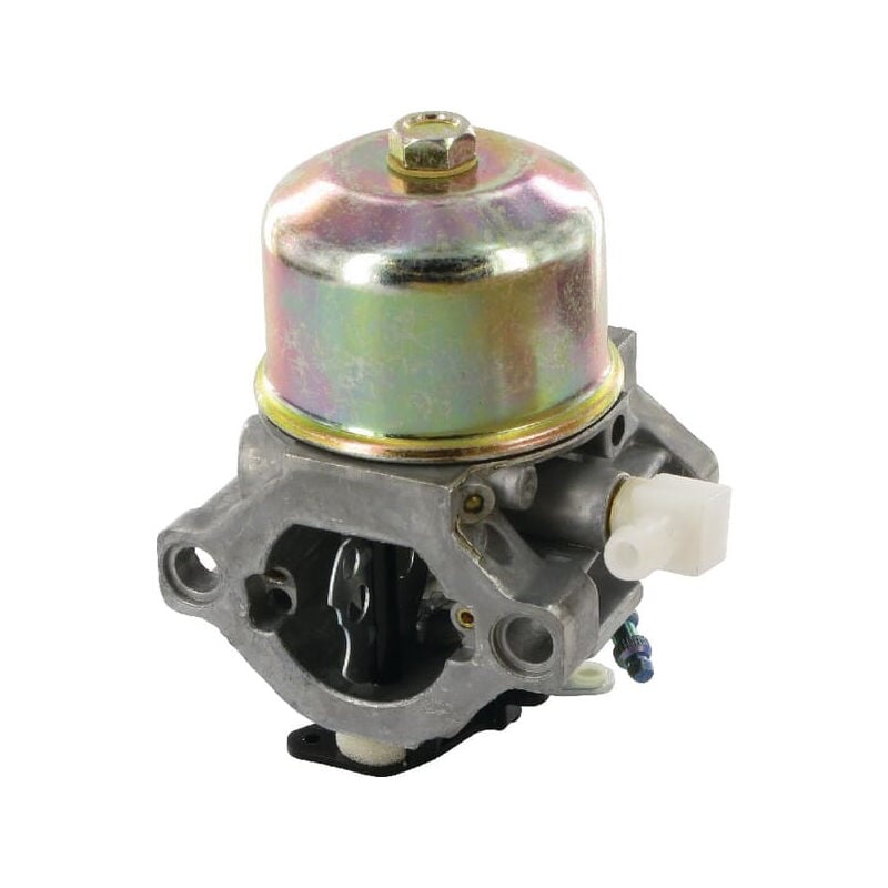 Carburateur briggs et stratton 699831