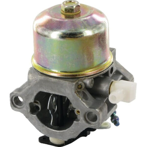 Carburateur BRIGGS ET STRATTON 699831