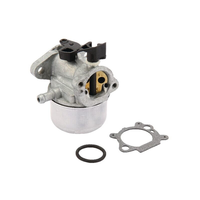 Briggs&stratton - Carburateur briggs et stratton 790978