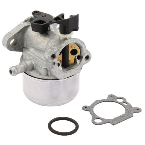 Carburateur BRIGGS ET STRATTON 790978