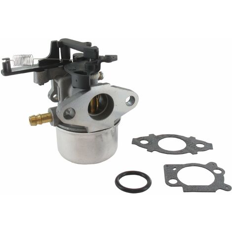 Carburateur BRIGGS ET STRATTON 796608