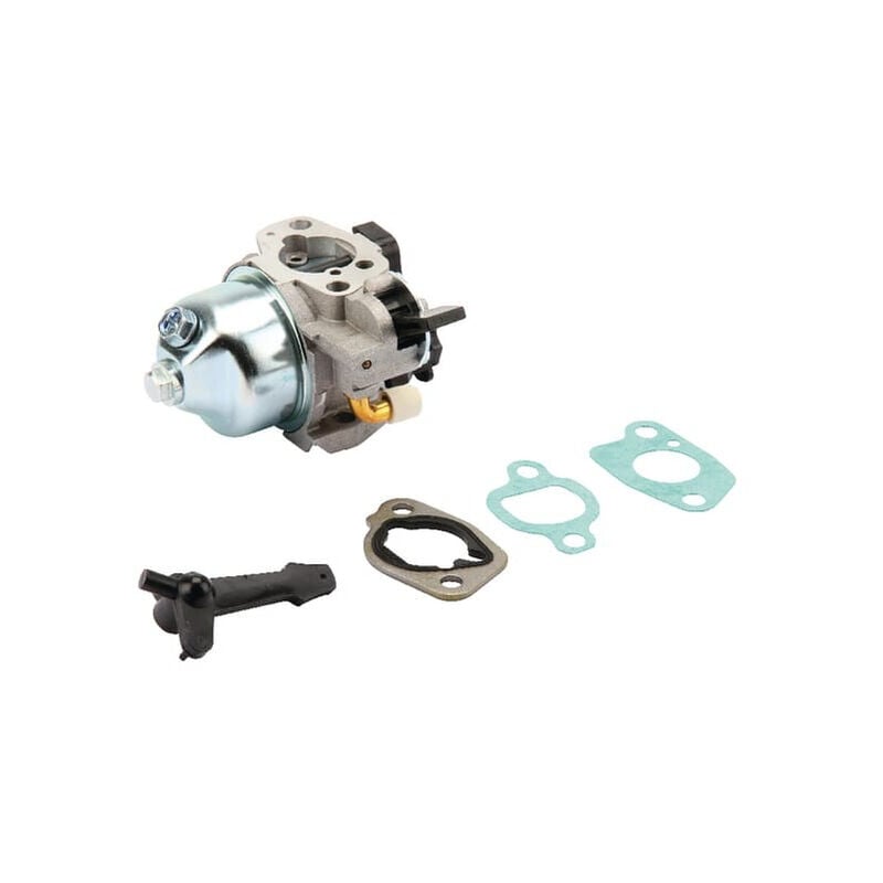 Carburateur BRIGGS ET STRATTON 797283