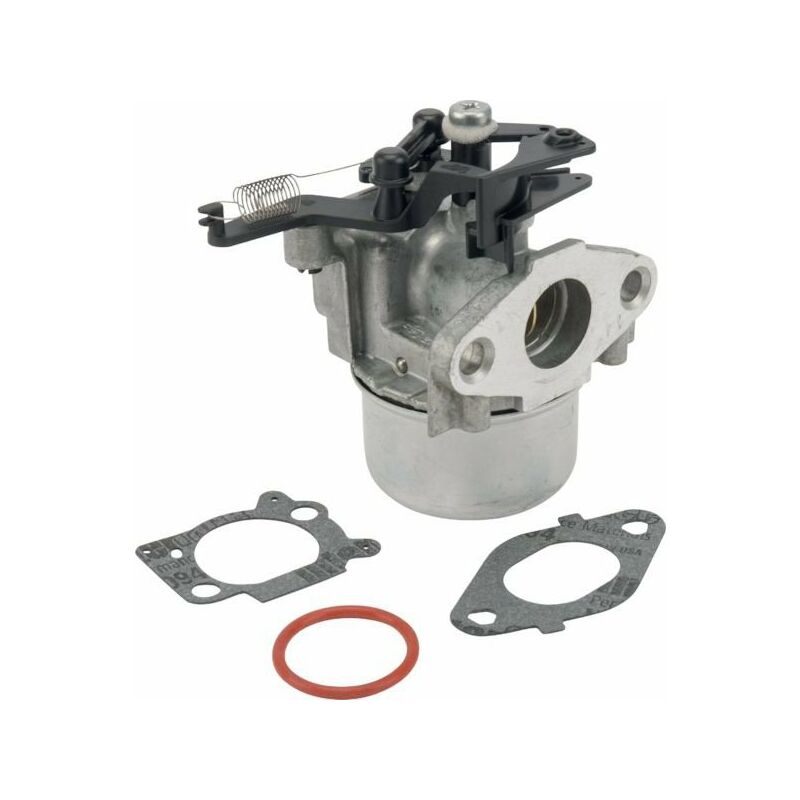Carburateur BRIGGS et STRATTON 799479