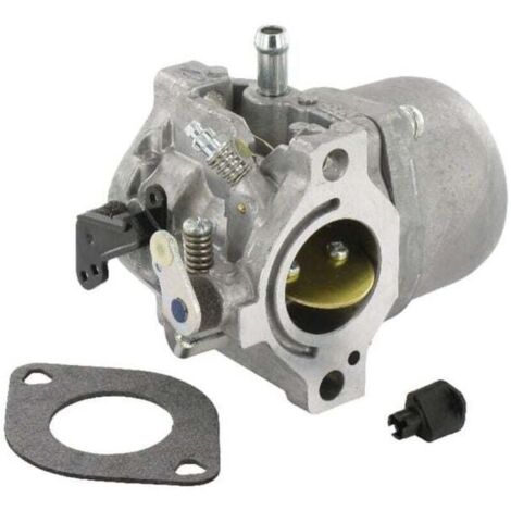 Carburateur BRIGGS ET STRATTON 799728