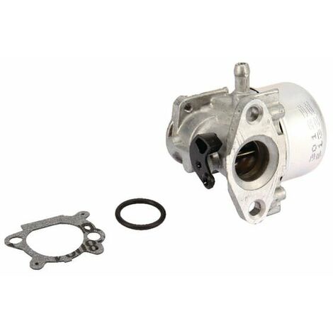 Carburateur BRIGGS ET STRATTON 799868