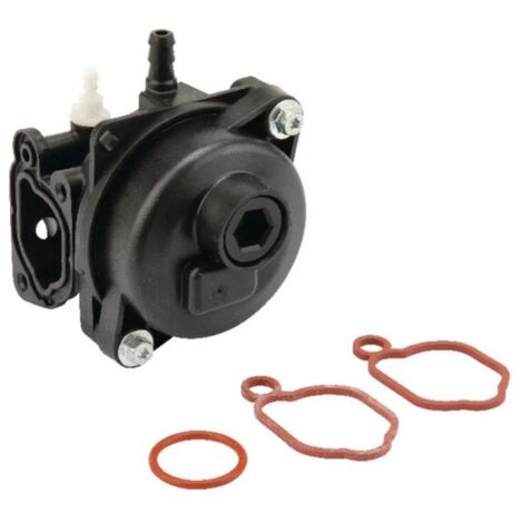 Carburateur Briggs et Stratton - 84001029