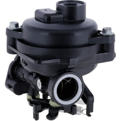 Carburateur Briggs et Stratton - 84001032
