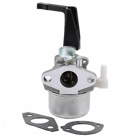 Carburateur Briggs & Stratton 696065 avec joint de montage –  Pièce neuve pour tondeuse, autoportée, groupe électrogène – Haute performance, entretien moteur jardin