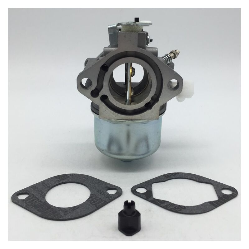Carburateur Briggs & Stratton 699831 283702 694941