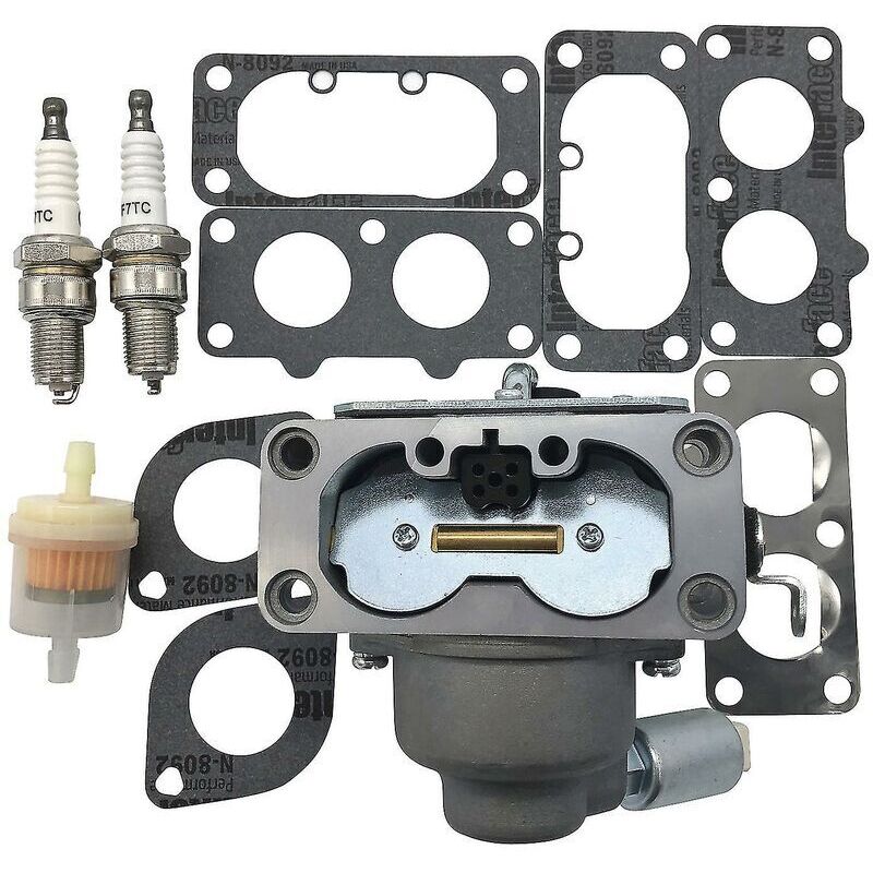 Carburateur Briggs Stratton 791230 699709 499804 405777 406777