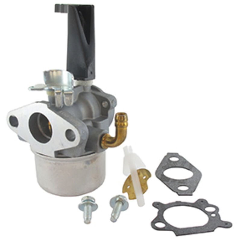 Briggs&stratton - Carburateur adaptable pour moteurs 190 cc à vilebrequin horizontal 110432, 110437, 110452, 110492, 110412, 111452, 111432, 120202,