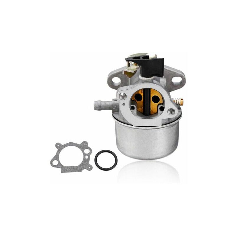 Start - Carburateur Briggs & Stratton avec joint Briggs & Stratton 498965