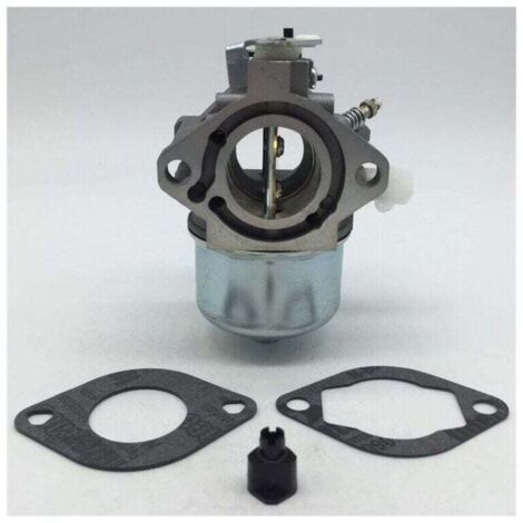 Carburateur Briggs & Stratton Briggs & Stratton 699831 283702 694941