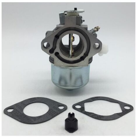 Carburateur Briggs & Stratton Briggs & Stratton 699831 283702 694941