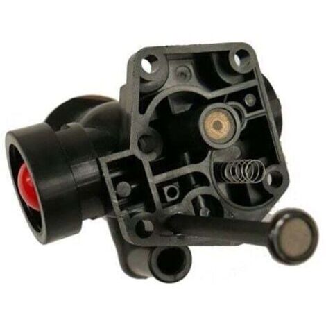 Carburateur Briggs Stratton sur réservoir 498811