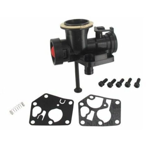 Carburateur Briggs Stratton sur réservoir