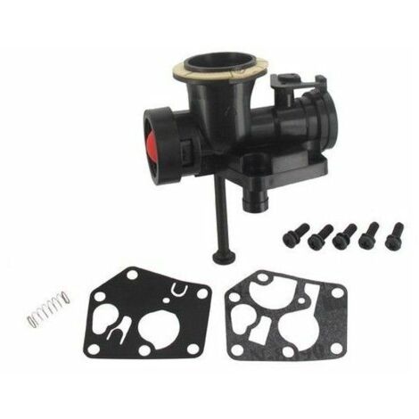 Carburateur Briggs Stratton sur réservoir
