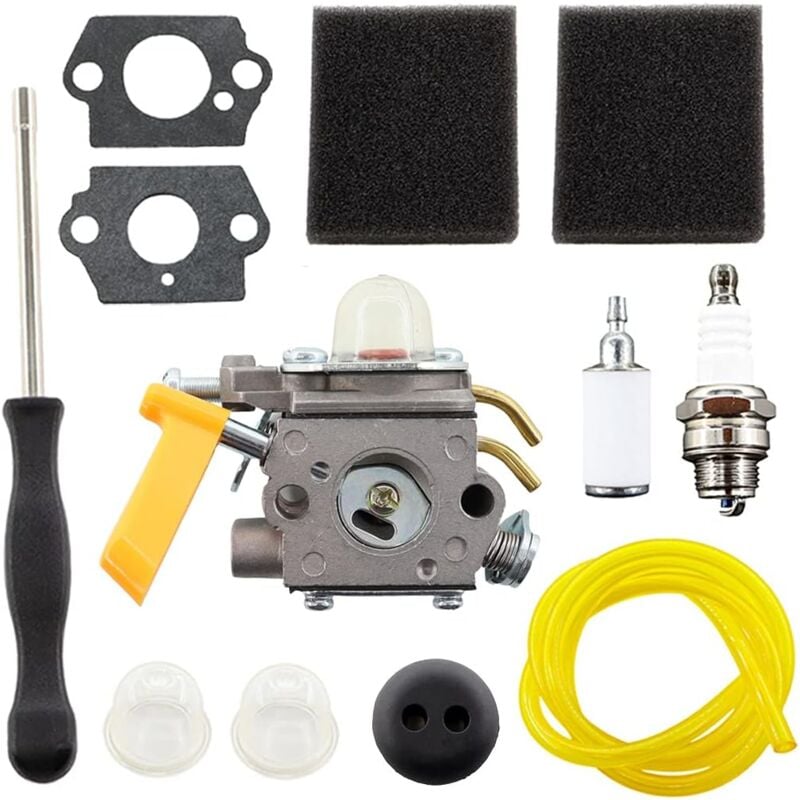 Fitags - Carburateur C1U-H60 308054012 avec filtre à air pour taille-haie Ryobi Homelite 25cc 26cc 30cc 46cc tronçonneuse 308054003 308054008, Ryobi