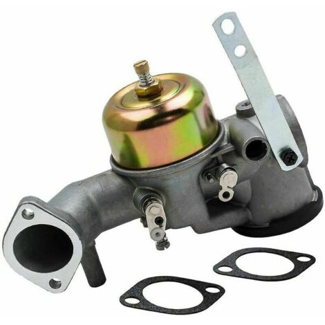 Carburateur Carburateur avec joints 252702 252707 pour Briggs & Stratton