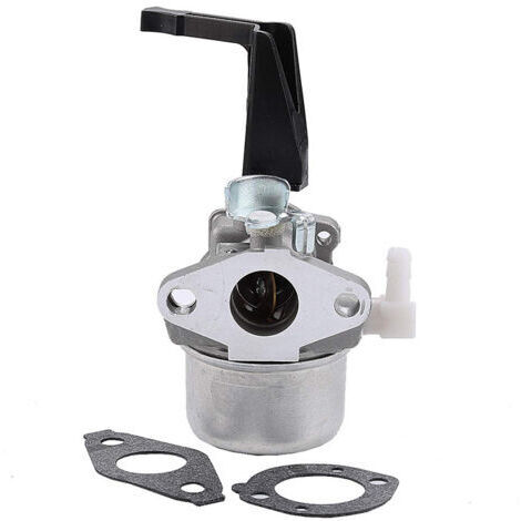 Carburateur Compatible avec Briggs &Stratton 696065 697422 110402 110412 215369 Motoculteur Pièces de Rechange Carburateur Carb H418