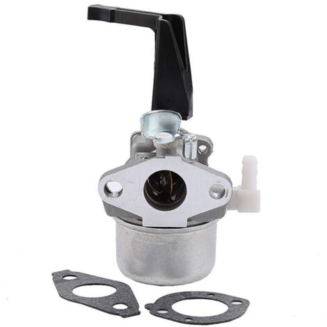Carburateur Compatible avec Briggs &Stratton 696065 697422 110402 110412 215369 Motoculteur Pièces de Rechange Carburateur Carb H418