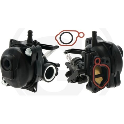 Carburateur compatible avec le moteur BRIGGS & STRATTON modèle 09P702