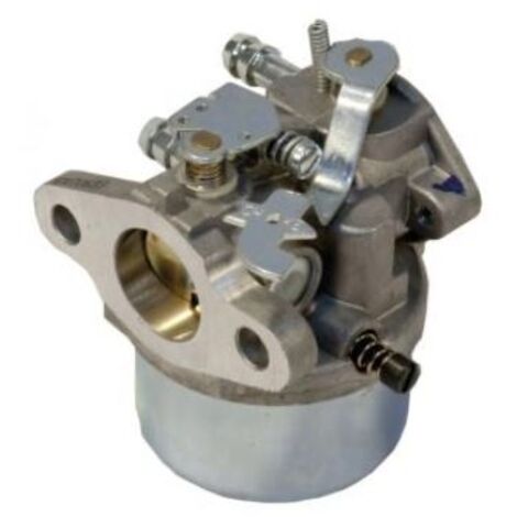 Carburateur compatible avec moteur TECUMSEH série OH195 OHH50 OHH55 OHH60