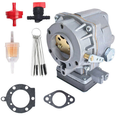 Carburateur Compatible pour Pièces 499306 495181 495026 Référence 693480 693479 694056