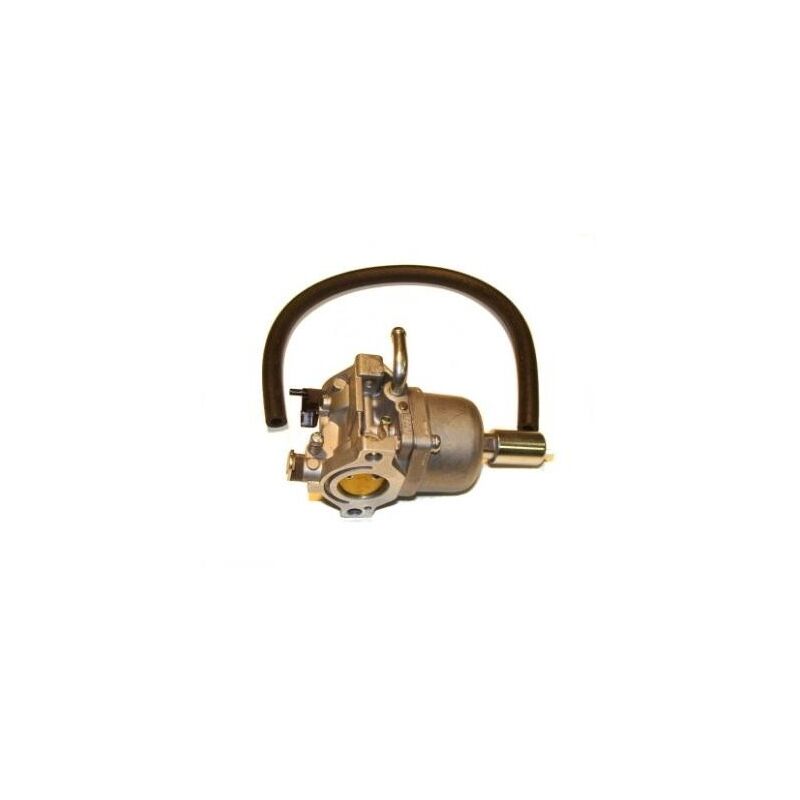 Briggs&stratton - 593433 - Carburateur Complet pour Moteur briggs et stratton