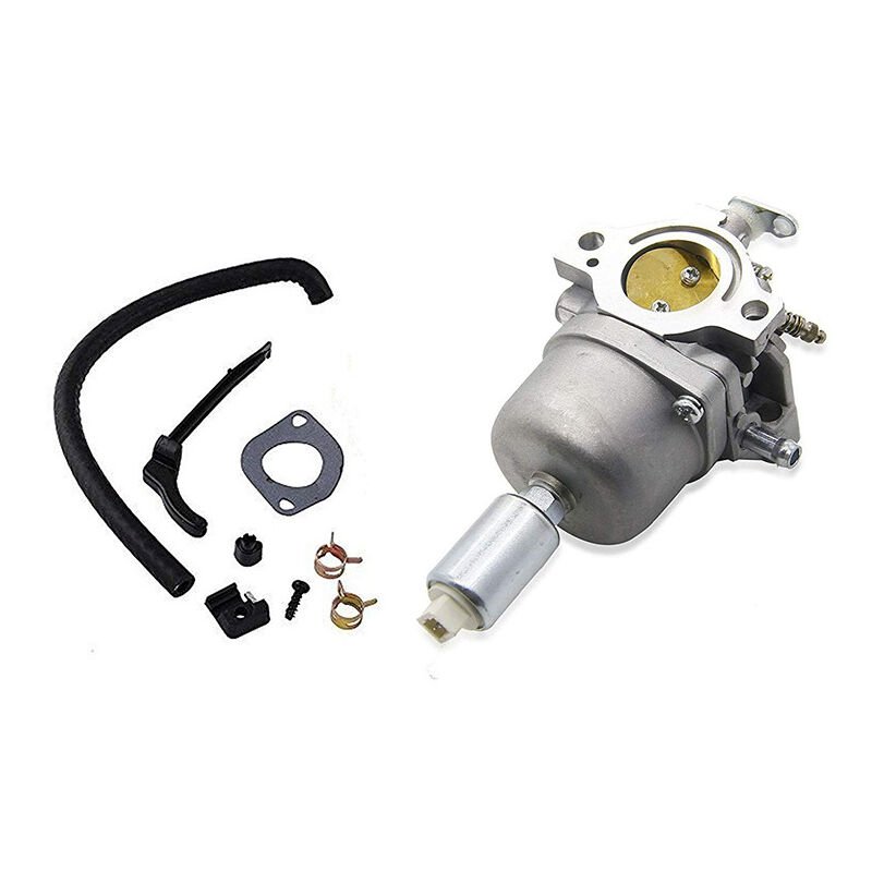 Carburateur DOLASO 794572 pour Briggs & Stratton 791858 791