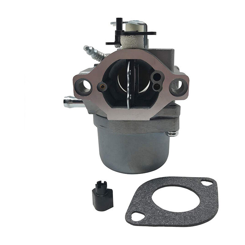 Dolaso - Carburateur 799728 pour Briggs&Stratton 498027 49823