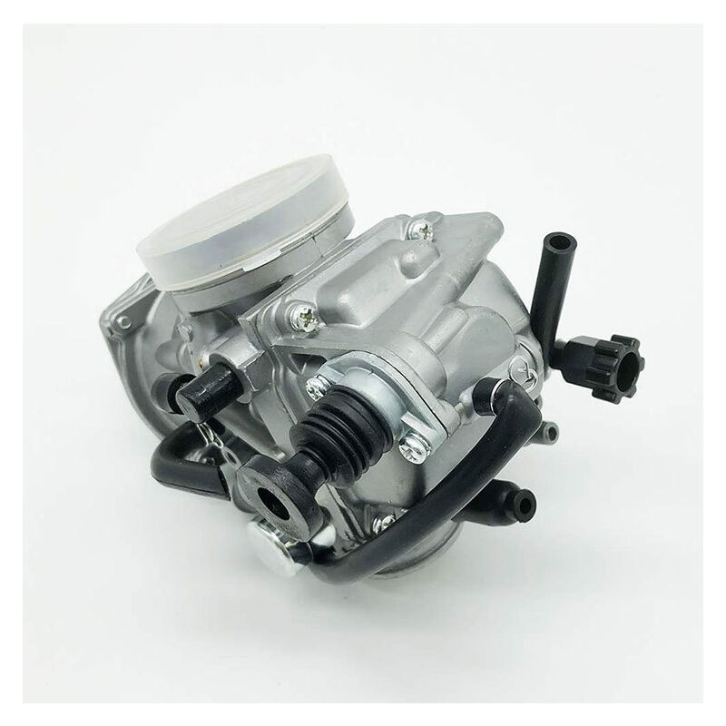 Dolaso - Carburateur compatible avec TRX300FW Trike TRX350 f