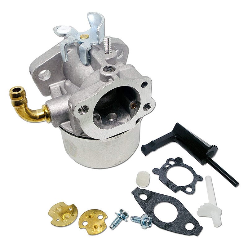 Dolaso - Carburateur pour Briggs & Stratton 591299 791991 693