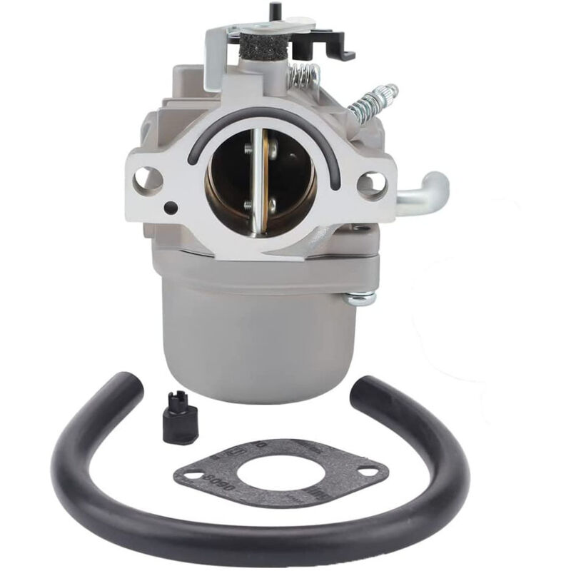 Dolaso - Carburateur pour tondeuse à gazon Briggs et Stratton 590399 796077